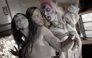 Bionde, Brune, Coperta, Party