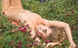 Unter freiem Himmel, Rasiert, Kleine Titten