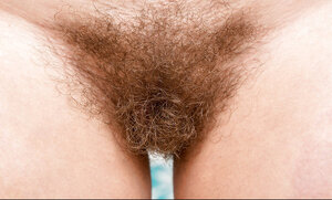 Amateur, Primer plano, Peludas